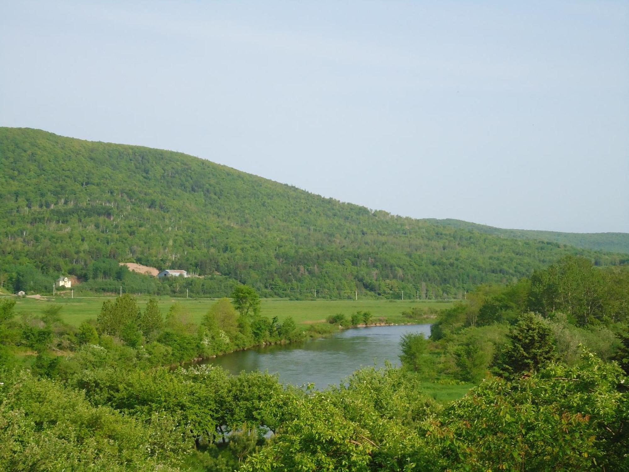 Cajun Cedar Log Cottages Margaree Forks ภายนอก รูปภาพ