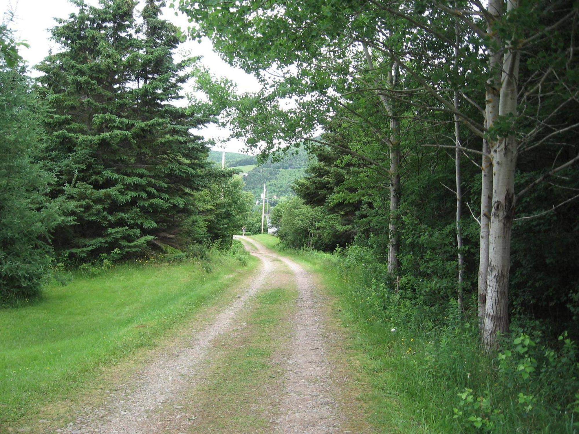 Cajun Cedar Log Cottages Margaree Forks ภายนอก รูปภาพ