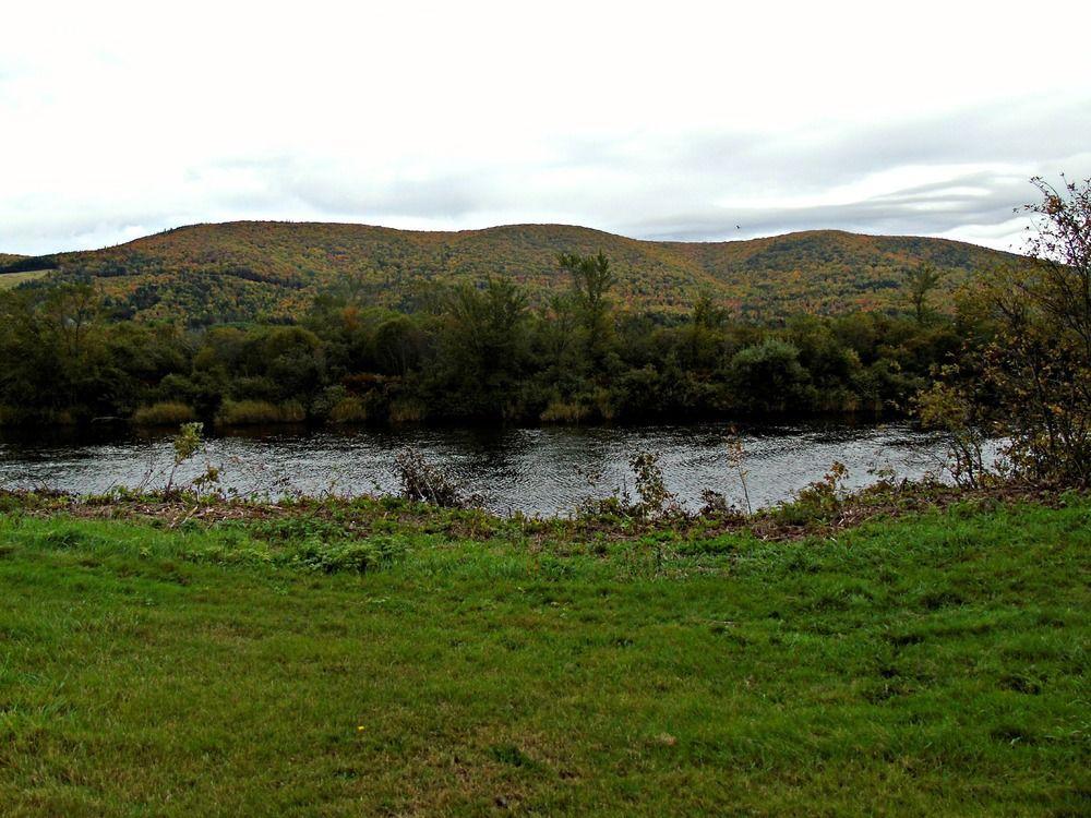 Cajun Cedar Log Cottages Margaree Forks ภายนอก รูปภาพ