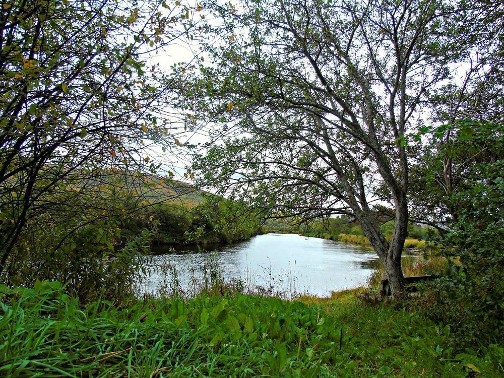 Cajun Cedar Log Cottages Margaree Forks ภายนอก รูปภาพ