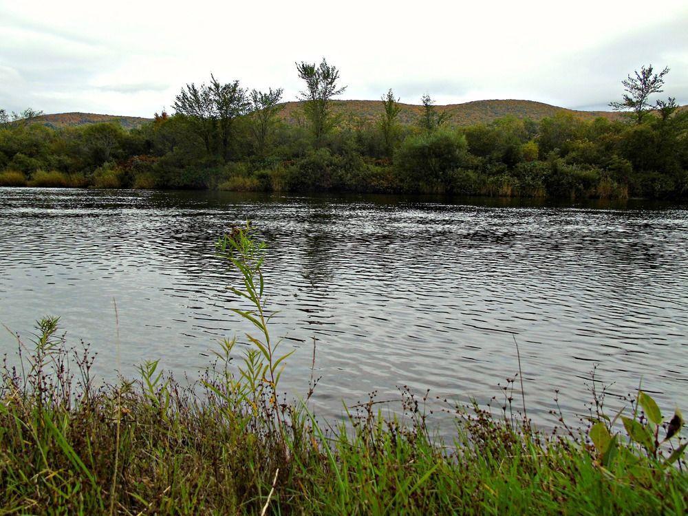 Cajun Cedar Log Cottages Margaree Forks ภายนอก รูปภาพ