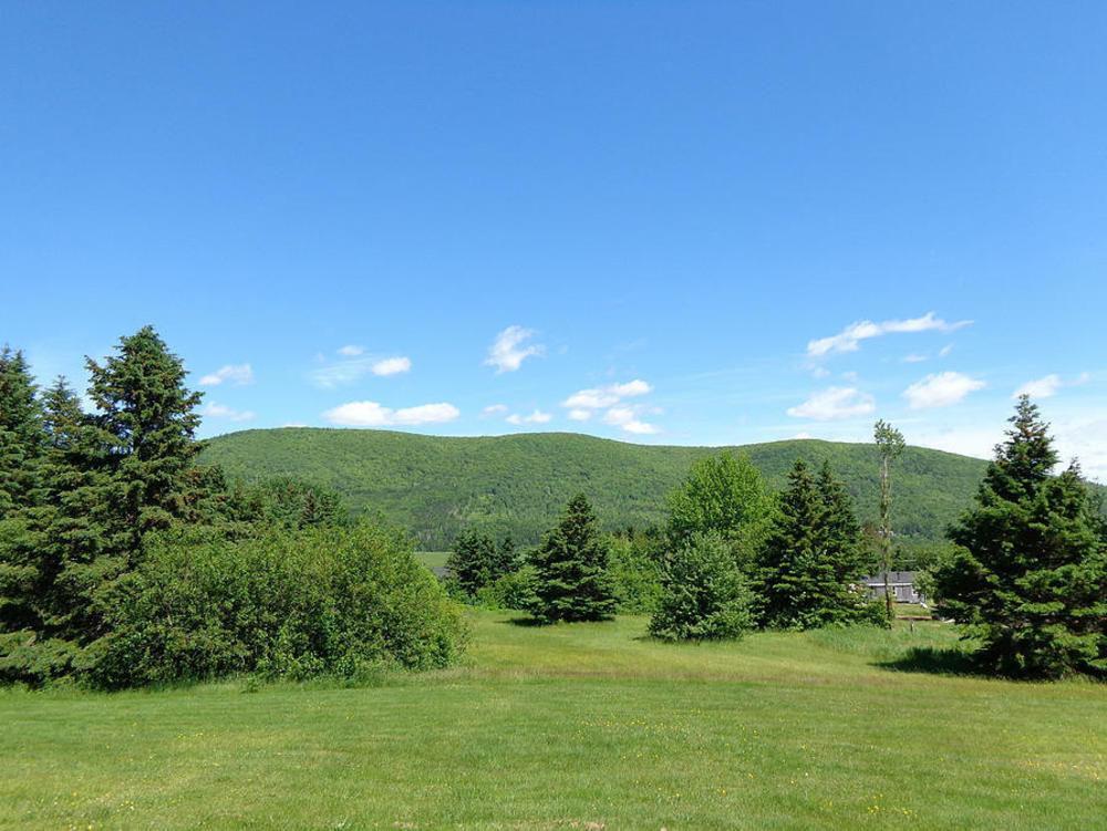 Cajun Cedar Log Cottages Margaree Forks ภายนอก รูปภาพ
