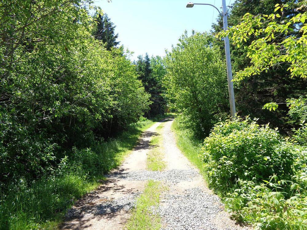 Cajun Cedar Log Cottages Margaree Forks ภายนอก รูปภาพ