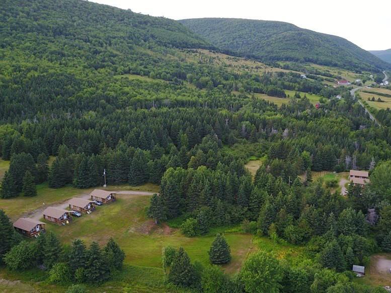 Cajun Cedar Log Cottages Margaree Forks ภายนอก รูปภาพ