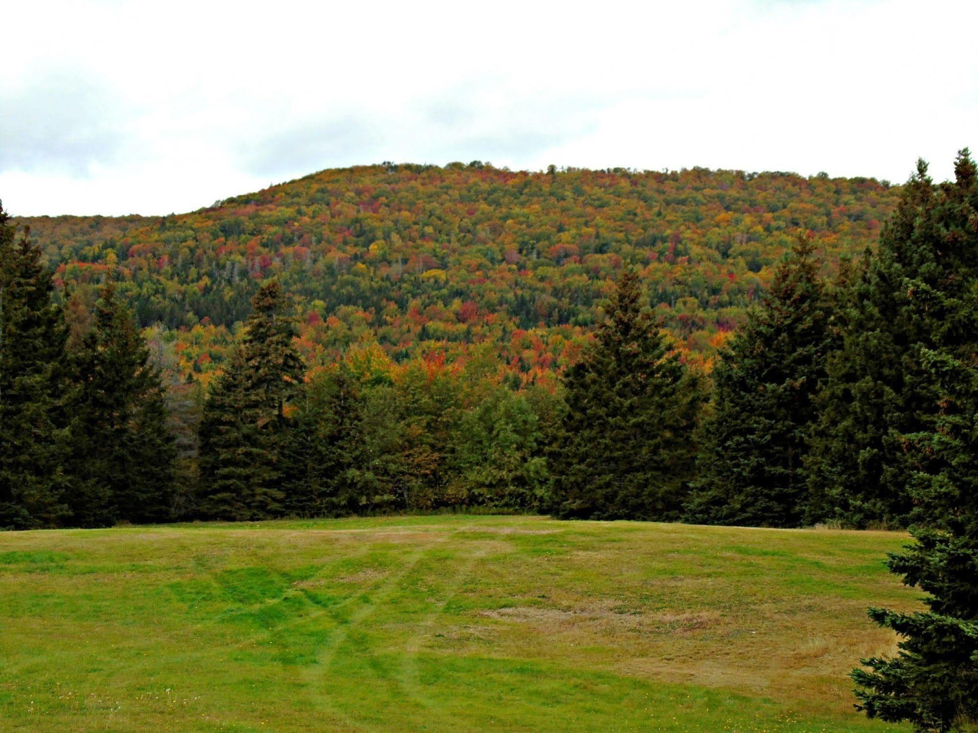 Cajun Cedar Log Cottages Margaree Forks ภายนอก รูปภาพ