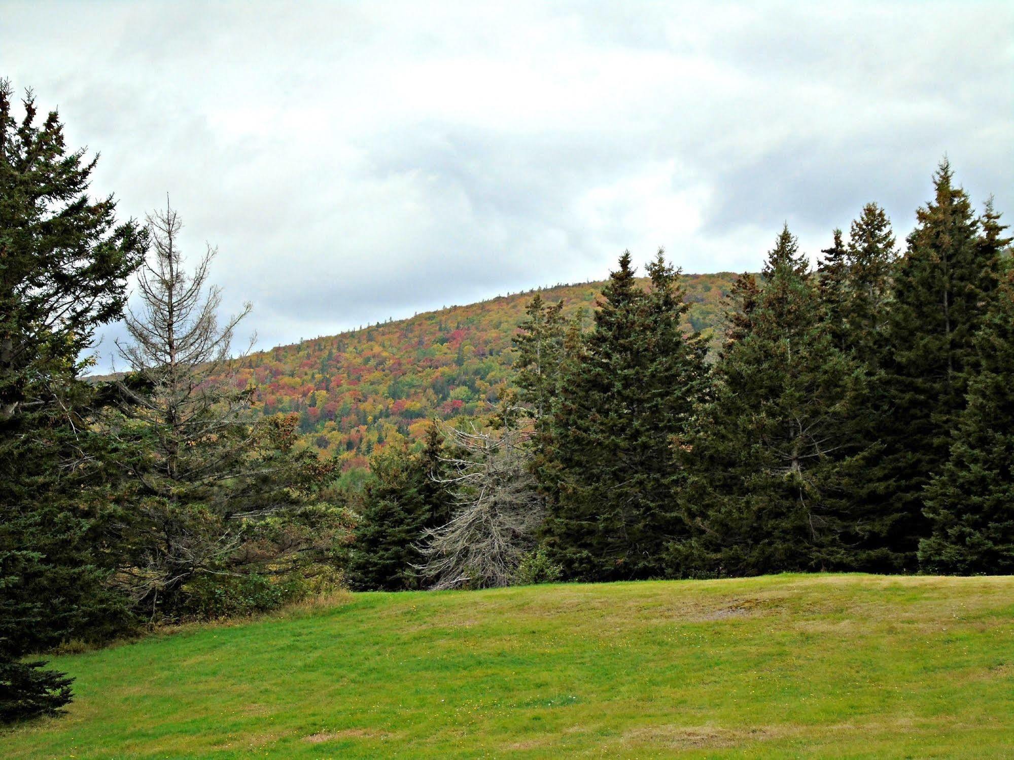 Cajun Cedar Log Cottages Margaree Forks ภายนอก รูปภาพ